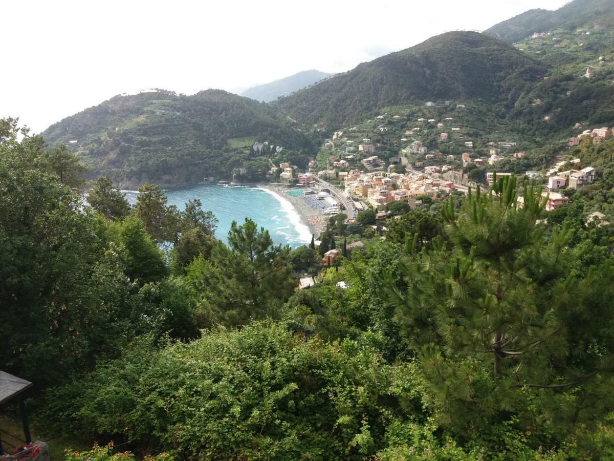 Casa Cinzia Bonassola Cinque Terre Apartment Екстериор снимка