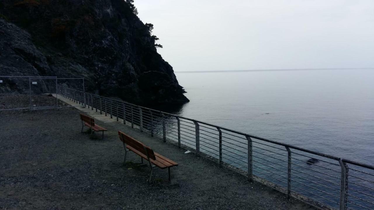 Casa Cinzia Bonassola Cinque Terre Apartment Екстериор снимка